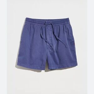 BDG Urban Outfitters Washed Blue Volley Shorts Mens Small